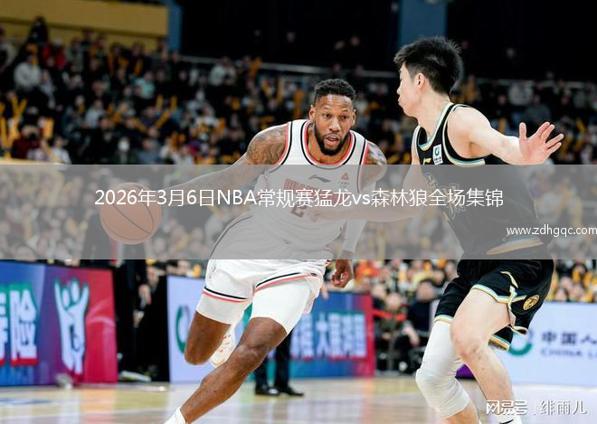2026年3月6日NBA常规赛猛龙vs森林狼全场集锦