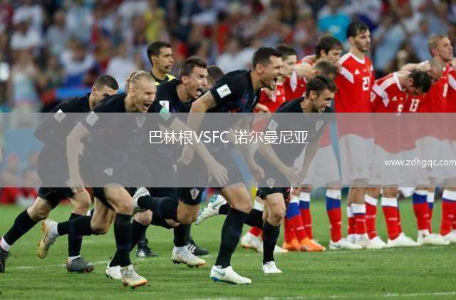 巴林根VSFC 诺尔曼尼亚