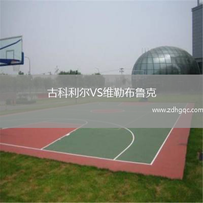 古科利尔VS维勒布鲁克