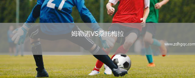 姆勒诺VS桑托梅拉