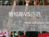 维特斯VS芬洛
