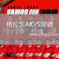 格拉茨AKVS里德
