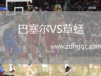 巴塞尔VS草蜢