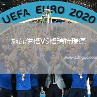 施瓦伊格VS格瑞特瑞德