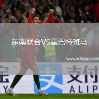 东南联合VS霍巴特斑马