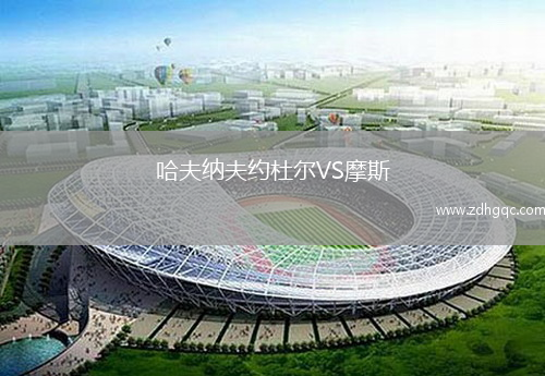 哈夫纳夫约杜尔VS摩斯
