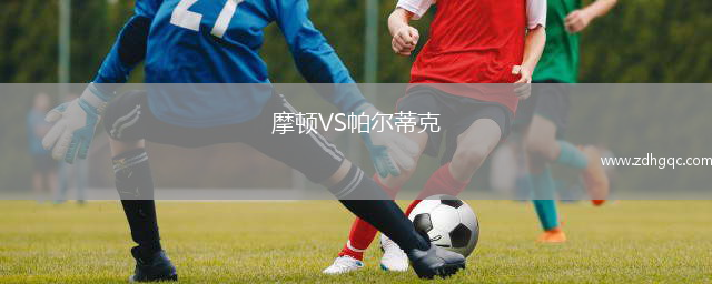 摩顿VS帕尔蒂克