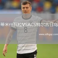 蒂米什瓦拉VSACS特尔古日乌