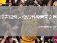 图寅根雷达虎VS科隆莱茵之星