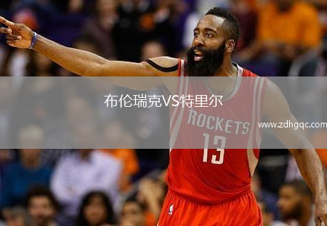布伦瑞克VS特里尔