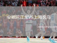 安徽皖江龙VS上海玄鸟