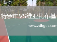 特罗申VS维亚扎布基
