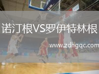 诺汀根VS罗伊特林根