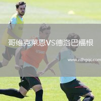 哥维克莱恩VS德洛巴福根