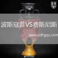 波斯寇普VS费斯尼斯
