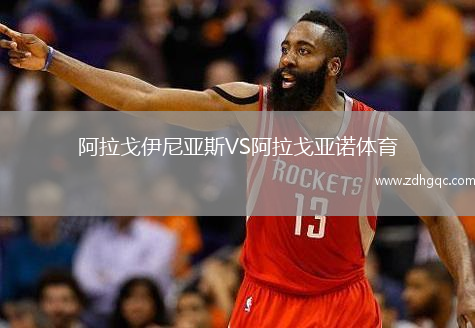 阿拉戈伊尼亚斯VS阿拉戈亚诺体育
