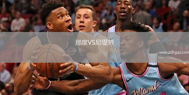 那度VS尼堤努