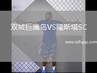 双城巨嘴鸟VS隆斯塔SC