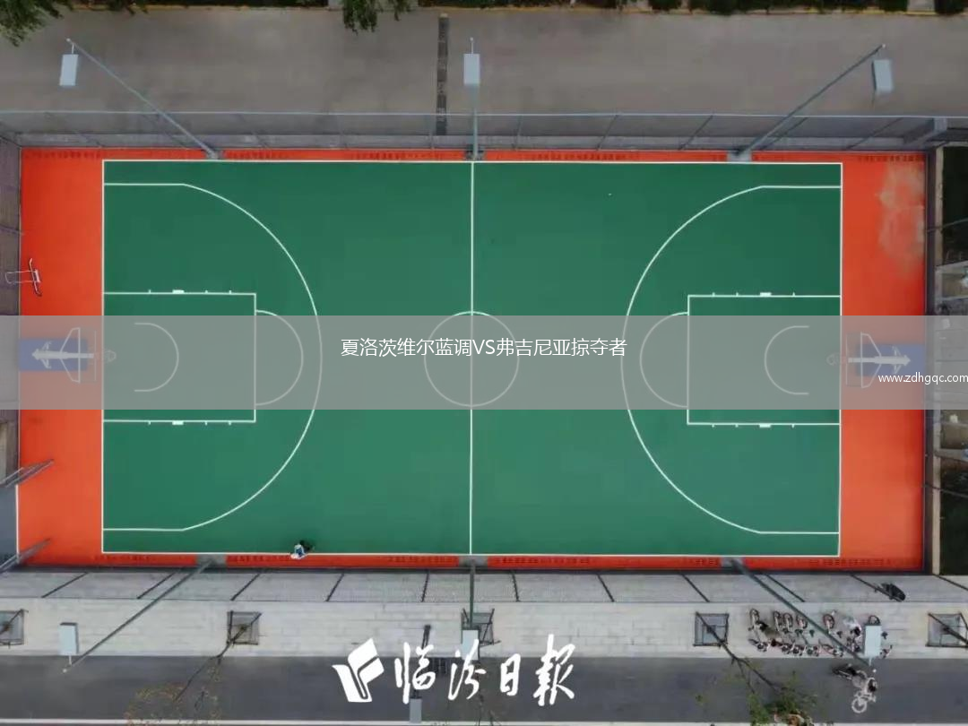 夏洛茨维尔蓝调VS弗吉尼亚掠夺者