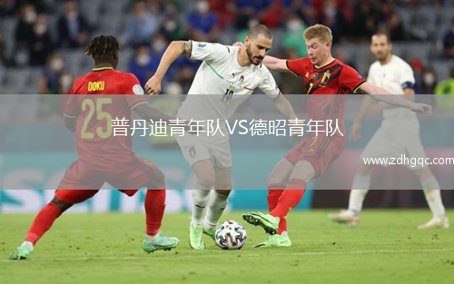 普丹迪青年队VS德昭青年队