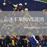 云达不莱梅VS波鸿
